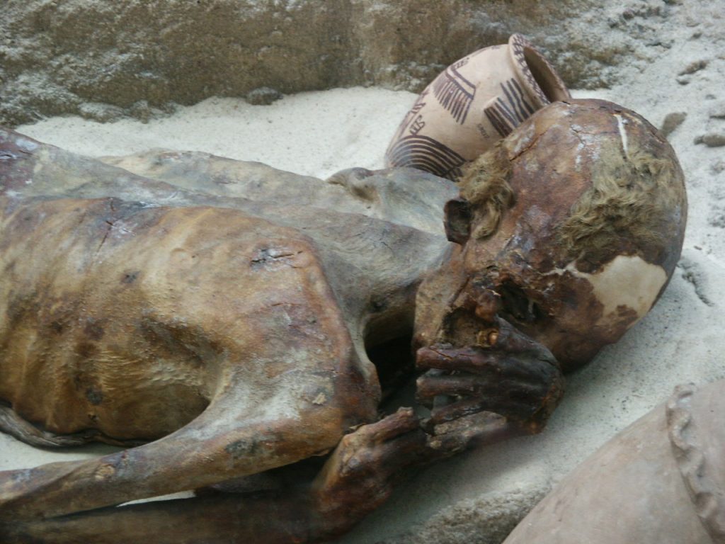 Durante uno sfratto ritrovano una donna morta da due anni