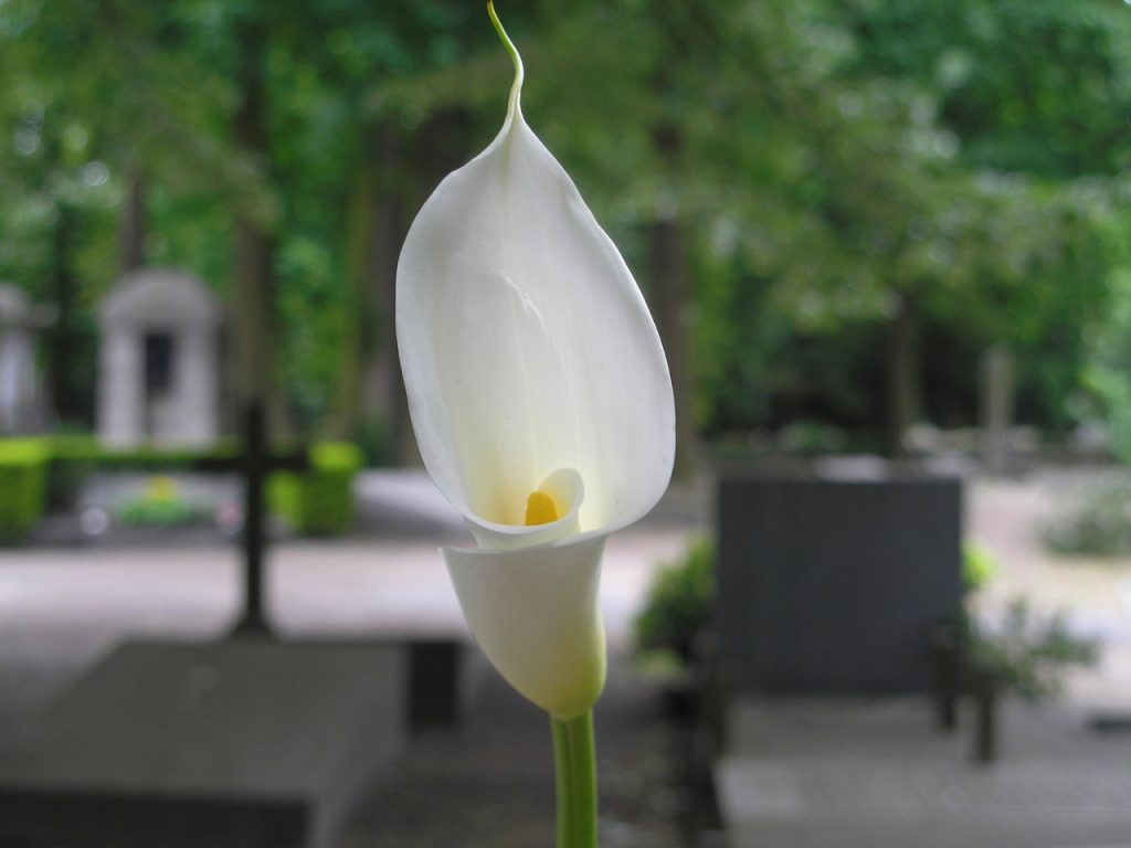 Come vestirsi ad un funerale